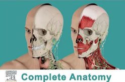 Открыт тестовый доступ к информационному ресурсу Elsevier: CompleteAnatomy